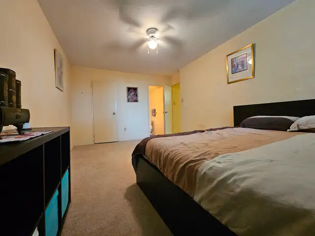 Two employed male adults looking for a third roommate - Photo 3