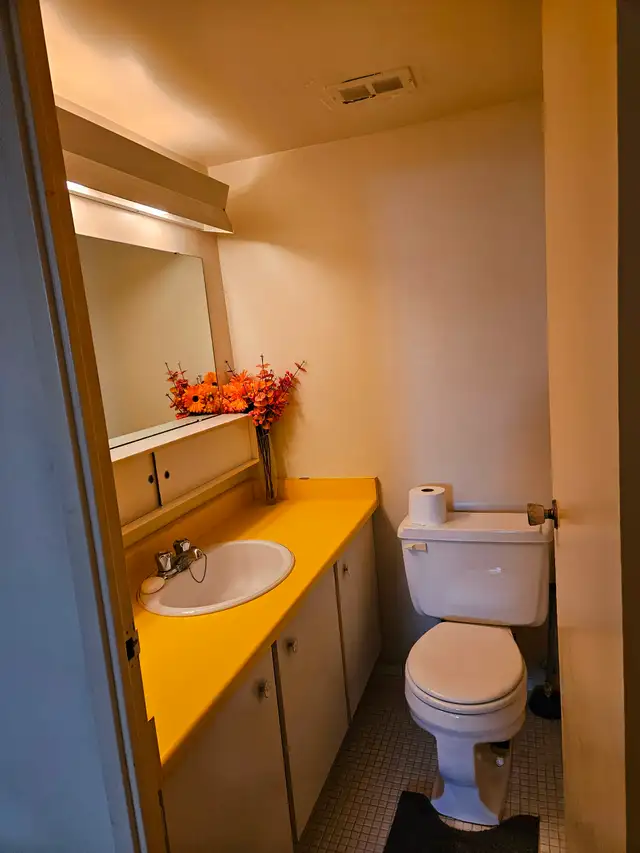 Two employed male adults looking for a third roommate - Photo 6