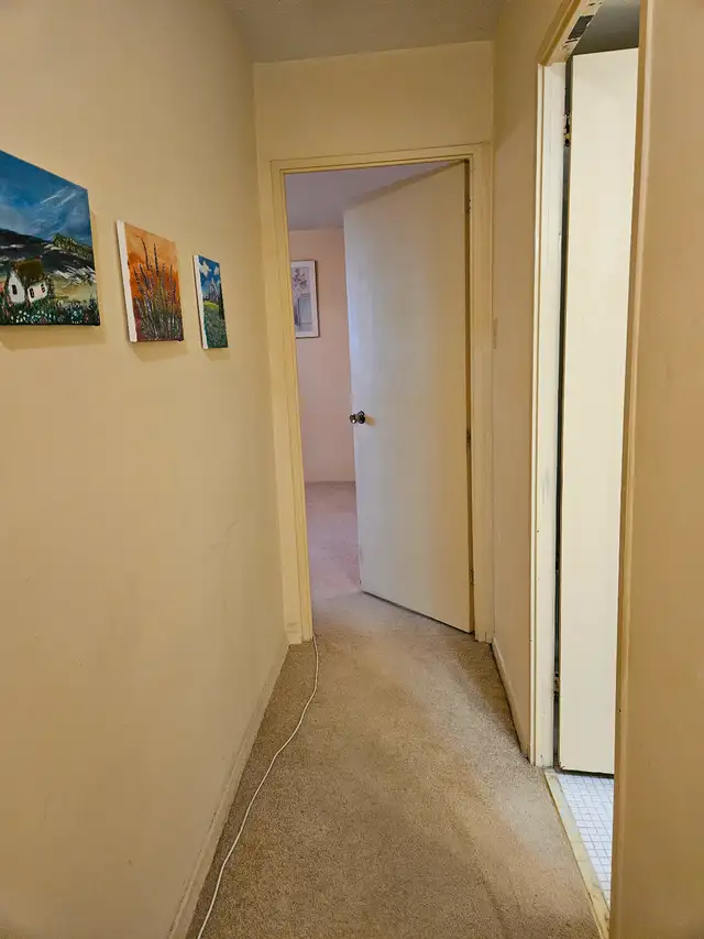 Two employed male adults looking for a third roommate - Photo 8