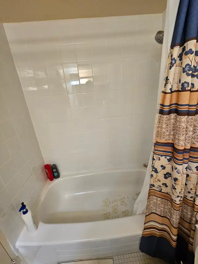 Two employed male adults looking for a third roommate - Photo 9