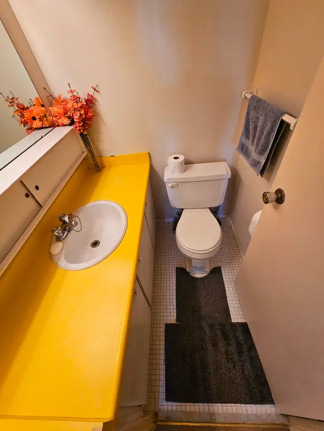 Two employed male adults looking for a third roommate - Photo 11