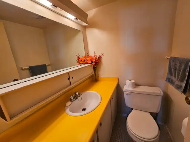 Two employed male adults looking for a third roommate - Photo 12