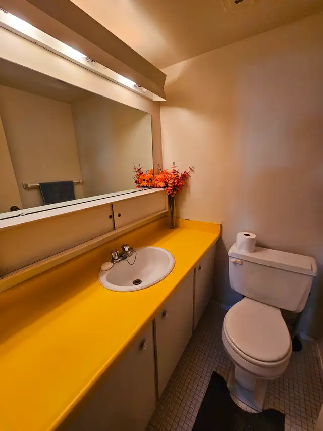 Two employed male adults looking for a third roommate - Photo 13