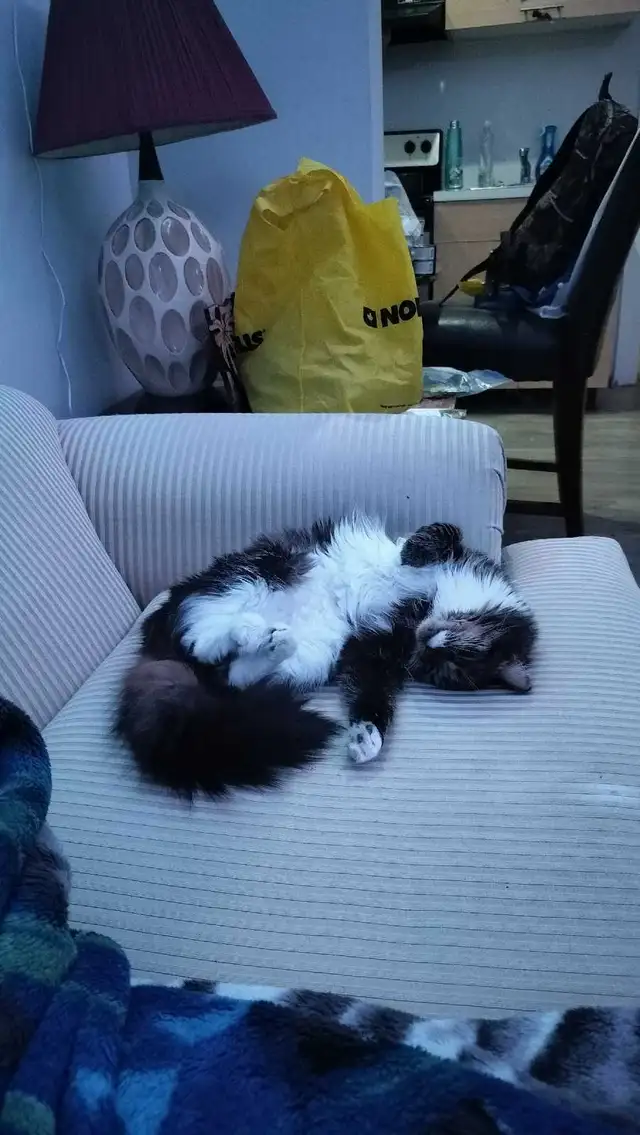 looking for 1 bedroom apartment - Photo 3