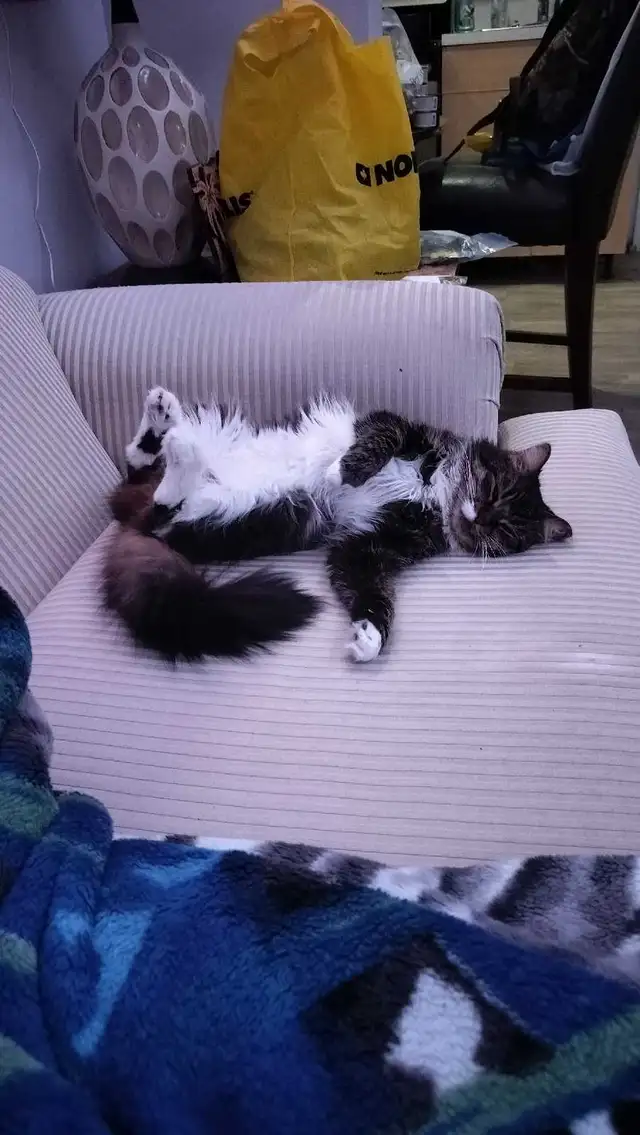 looking for 1 bedroom apartment - Photo 4