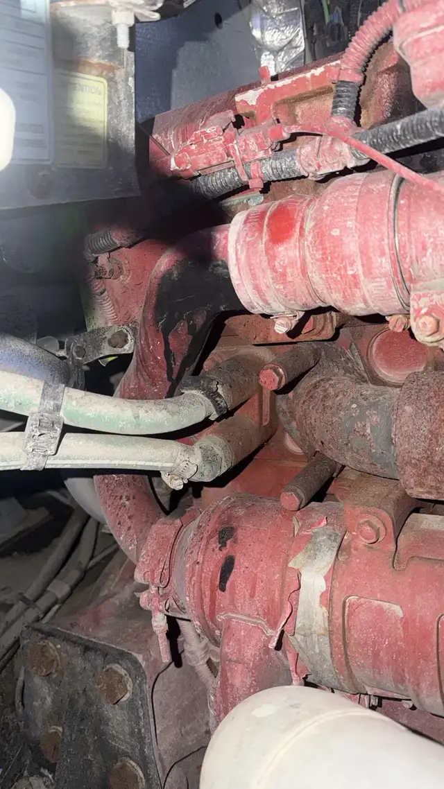 310T Truck & Coach Apprentice – Seeking Sponsorship - Photo 3