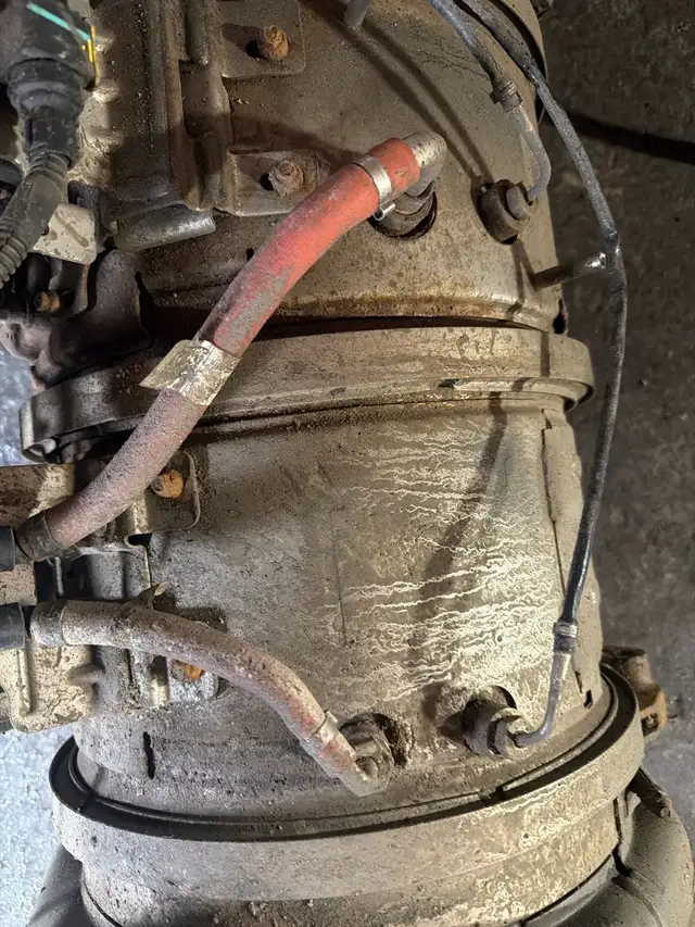 310T Truck & Coach Apprentice – Seeking Sponsorship - Photo 4