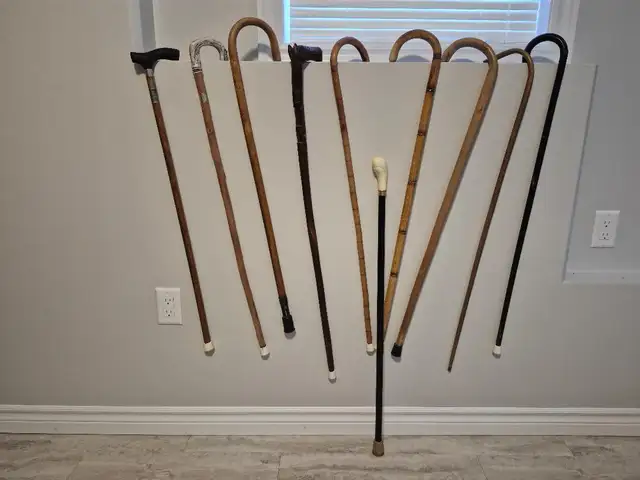 NUMEROUS CANES