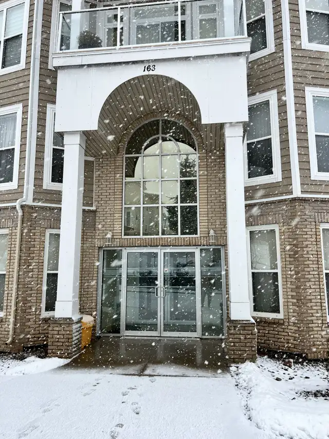 GORGEOUS, EXECUTIVE 2 BR 2 BATH CONDO AVAILABLE NOW!