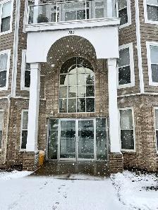 GORGEOUS, EXECUTIVE 2 BR 2 BATH CONDO AVAILABLE NOW!