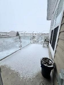 GORGEOUS, EXECUTIVE 2 BR 2 BATH CONDO AVAILABLE NOW! - Photo 20