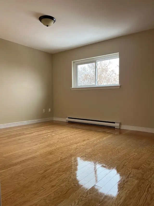 Large renovated three bedroom Apt. - Photo 7