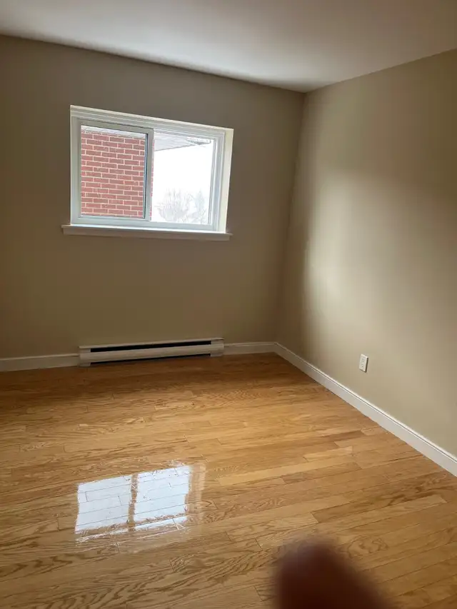 Large renovated three bedroom Apt. - Photo 8