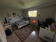Summer Sublet - Photo 8