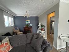 Summer Sublet - Photo 13