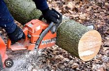 fallen trees yard waste cut into pieces or moved away