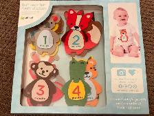 First Year Felt Belly Stickers