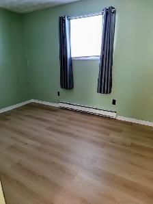 HOUSE FOR RENT IN UPPER LAKEVILLE, NS - Photo 7