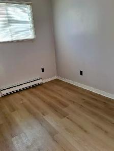 HOUSE FOR RENT IN UPPER LAKEVILLE, NS - Photo 8