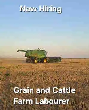 Grain and Cattle Farm Labourer