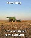 Grain and Cattle Farm Labourer