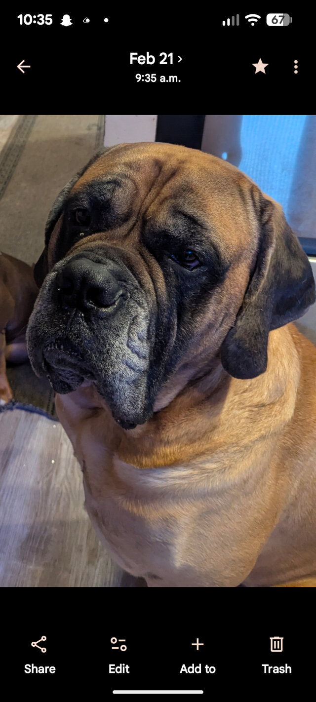 Incredible opportunity