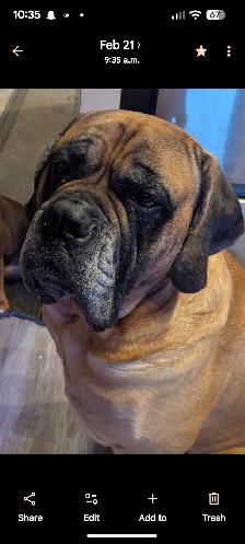 Incredible opportunity