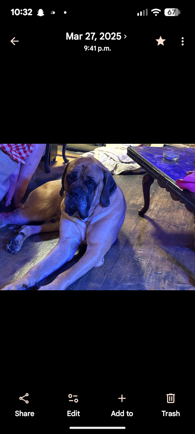 Incredible opportunity - Photo 2