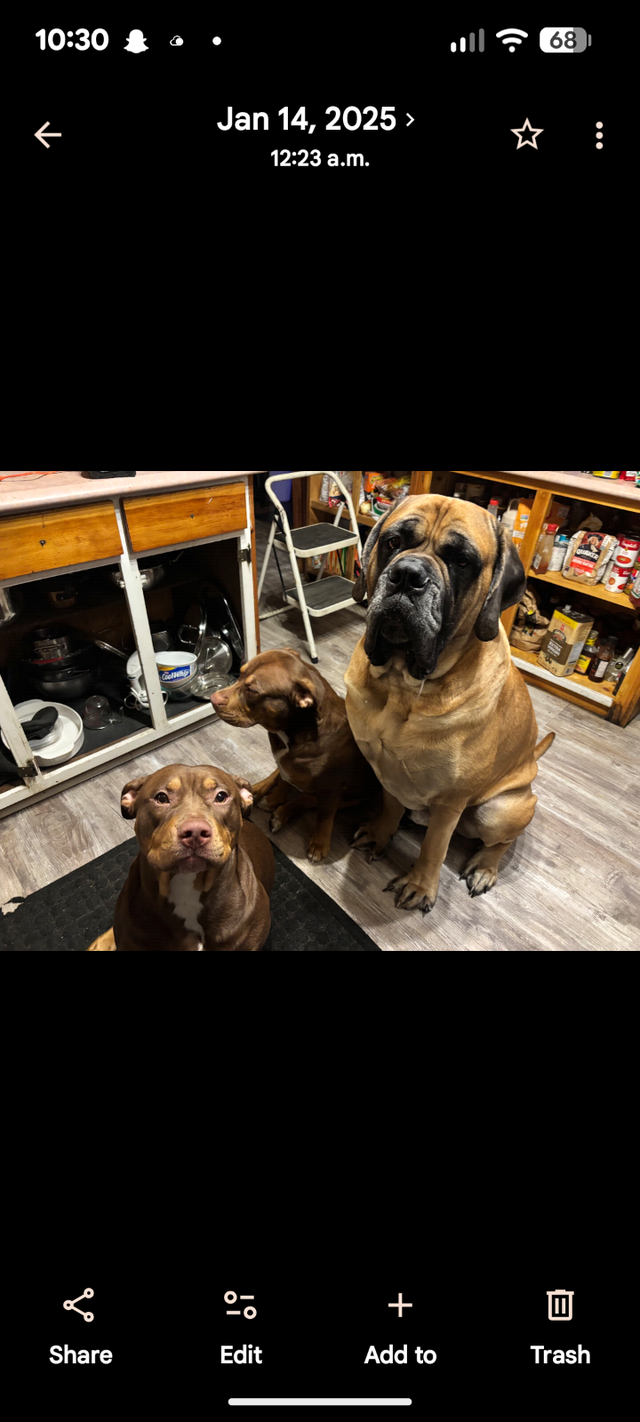 Incredible opportunity - Photo 3