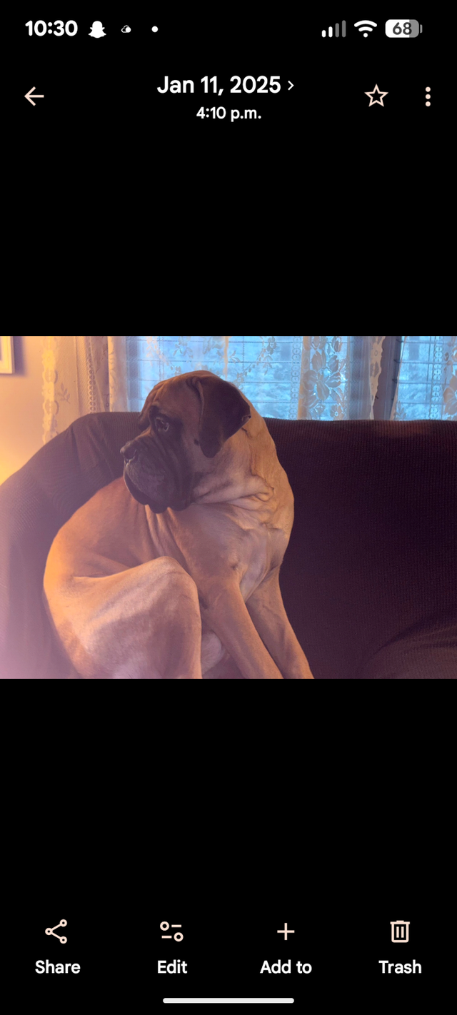 Incredible opportunity - Photo 4