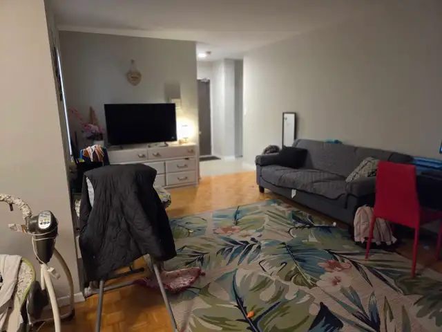 1 Furnished bedroom apartment for rent - Photo 7