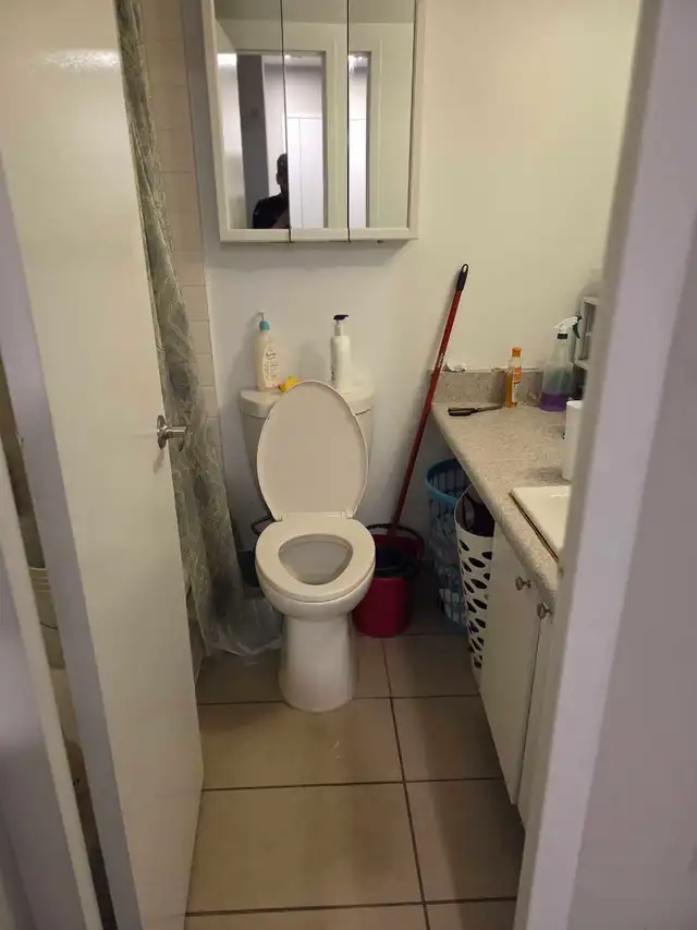 1 Furnished bedroom apartment for rent - Photo 10