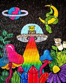 Psychedelic Acrylic Paintings on Canvas