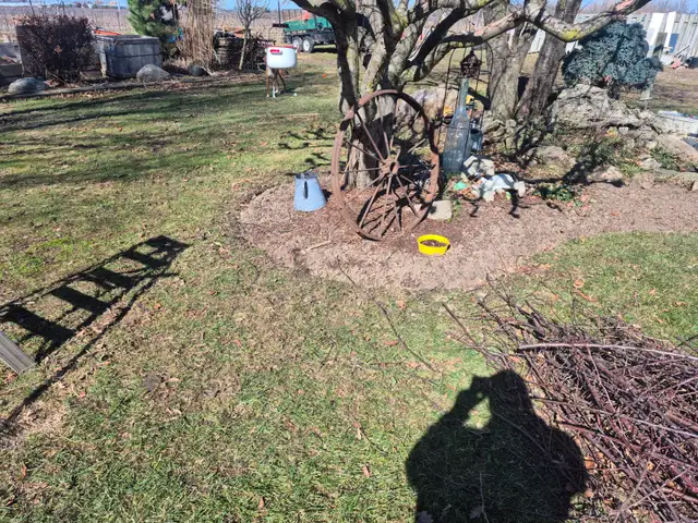 Spring yard clean ups