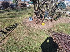 Spring yard clean ups