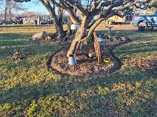 Spring yard clean ups - Photo 2