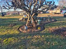 Spring yard clean ups - Photo 3