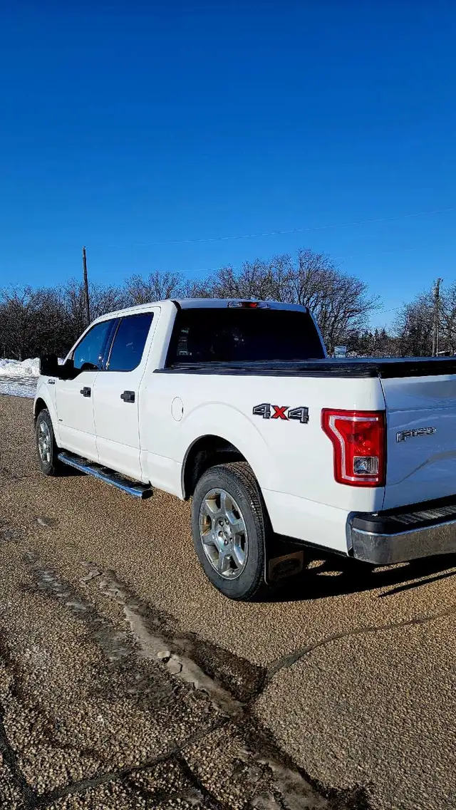 Saftied 2015 F150 3.5 ecoboost remote start - Photo 5