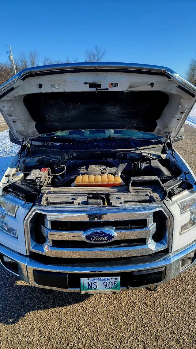 Saftied 2015 F150 3.5 ecoboost remote start - Photo 10