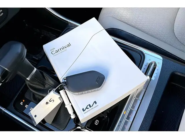 2025 Kia Carnival PLUS | LEATHER | NAV | DUAL SUNROOF | - Photo 40
