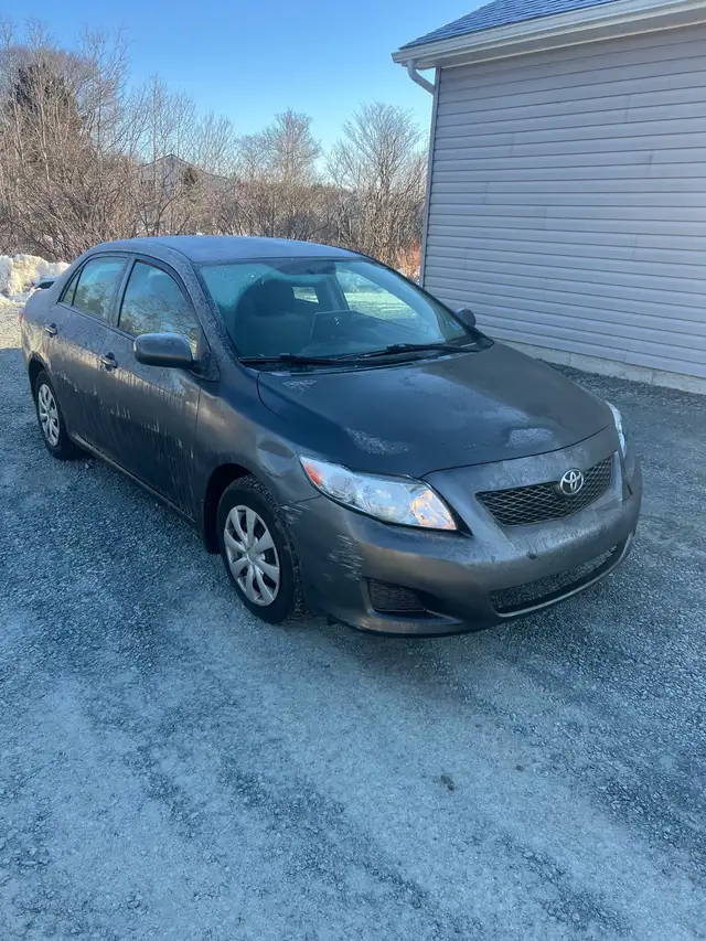 buying Toyota vehicles- Corolla Camry matrix rav4