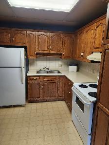 Large Executive 2bdrm 2bath Condo. $1700/m  Avail May 1 - Photo 2