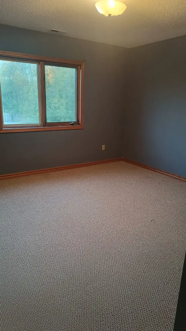 Large Executive 2bdrm 2bath Condo. $1700/m  Avail May 1 - Photo 11