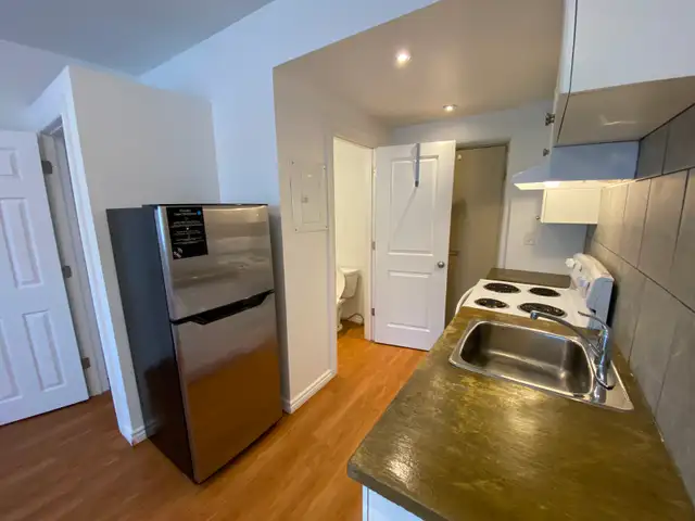 Bachelor/Studio Apartment in Durand Neighbourhood - Photo 4