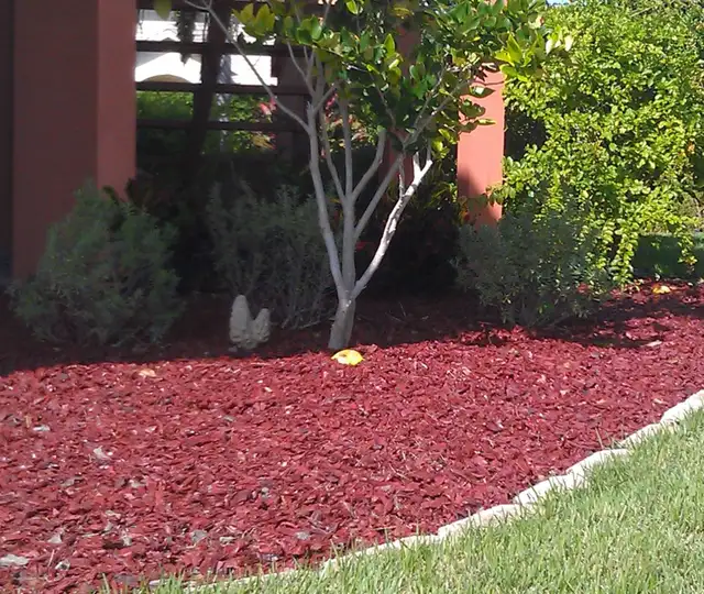 Real Cedar Mulch ! - Photo 2
