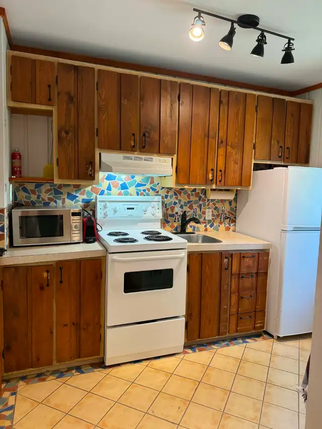 Maison 1 cac à louer / 1 bdr house to rent - Morin-Heights, Qc - Photo 5