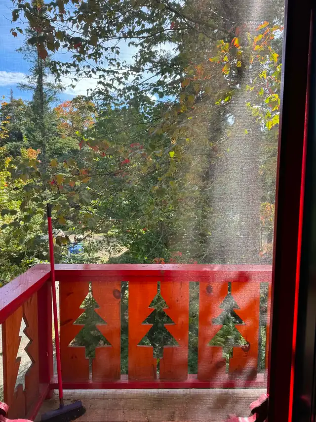 Maison 1 cac à louer / 1 bdr house to rent - Morin-Heights, Qc - Photo 18