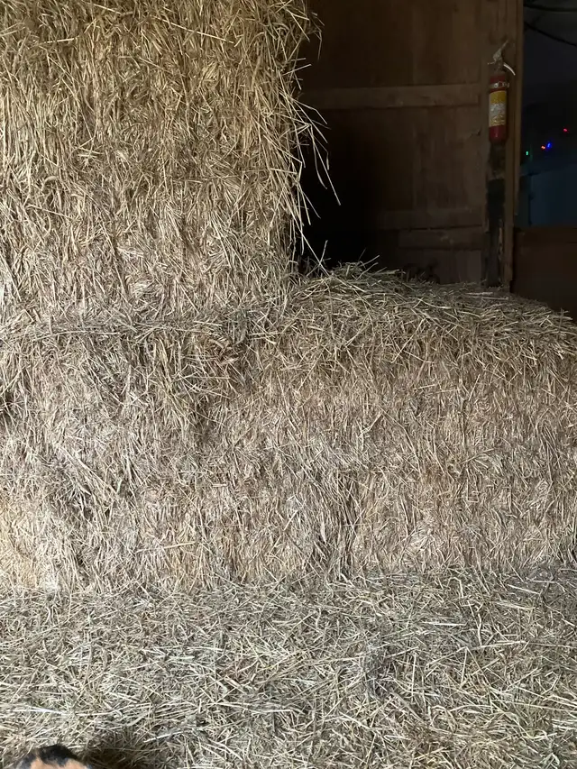 wheat straw for sale