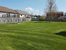 LAWN ROLLING 905-356-5000 - Photo 3