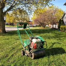 LAWN ROLLING 905-356-5000 - Photo 4